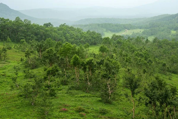 Vatchkazhets Vallei Voormalige Vulkaan Veld Een Zeer Populaire Trekking Route — Stockfoto