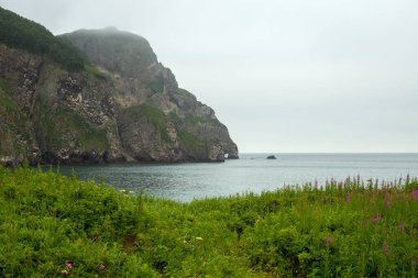 Pasifik Okyanusu kıyısı, Kamçatka, Rusya