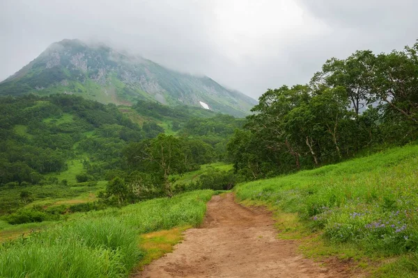 Vatchkazhets山谷 以前的火山场 俄罗斯堪察加半岛一条非常受欢迎的远足路线 — 图库照片