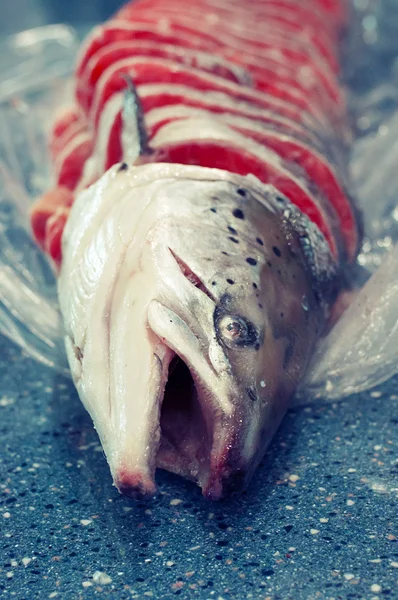 Peixe vermelho — Fotografia de Stock