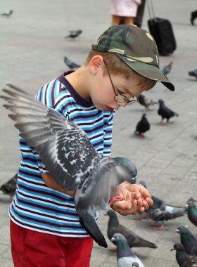 Çocuk besleme birds