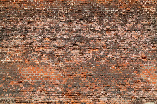 Текстура старих цегляних стін — стокове фото