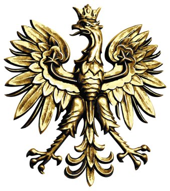 beyaz zemin üzerinde Polonya kartal
