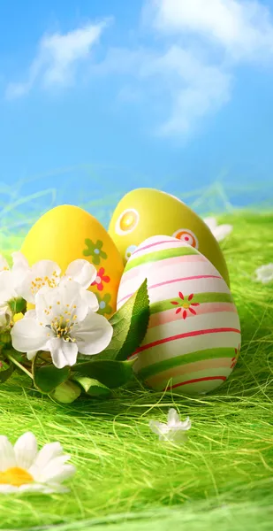 Colorful Easter Eggs and Flowers — Stock Photo, Image