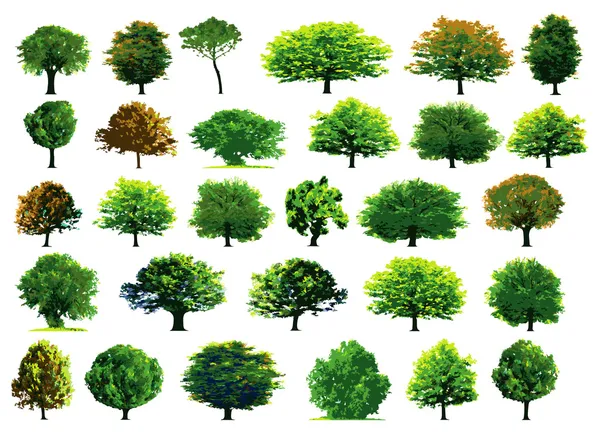 Kolekcja zielone drzewa — Wektor stockowy