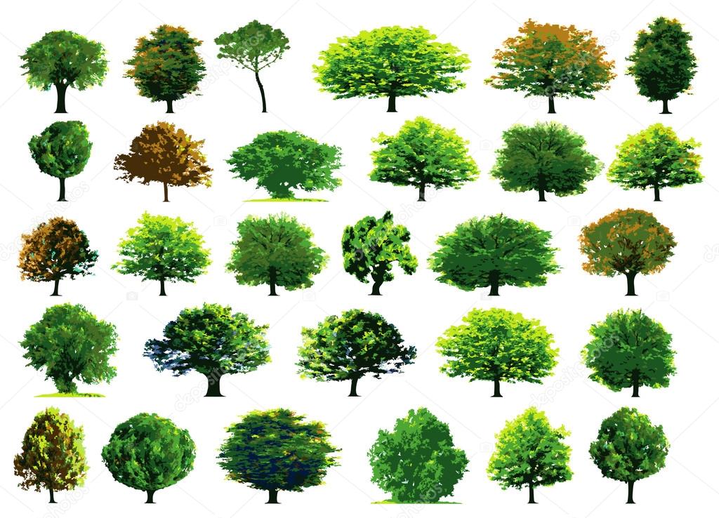 Collection green trees
