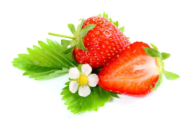 하얀 배경에 갓 익은 딸기 — 스톡 사진