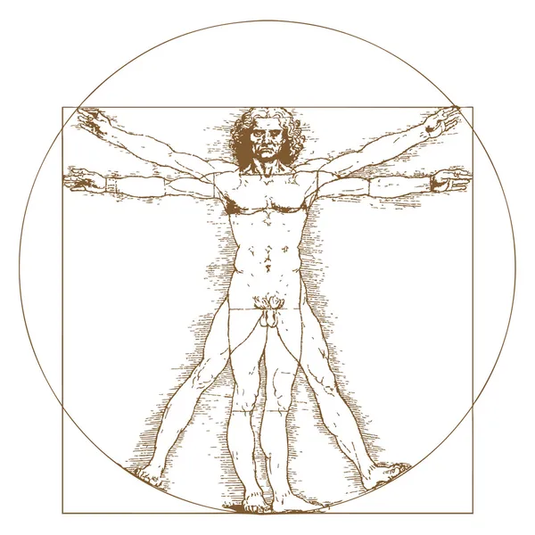Homem Vitruviano por Leonardo Da Vinci —  Vetores de Stock
