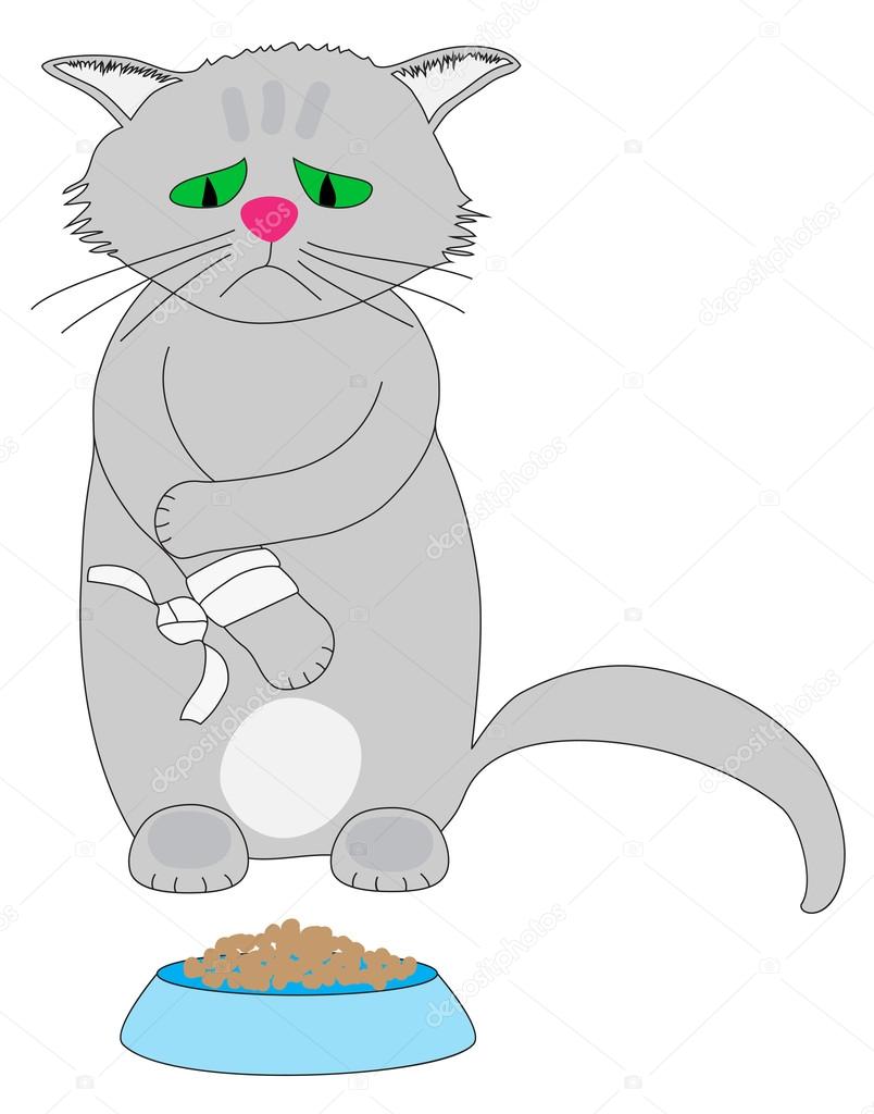 Sad Cat With Bandaged Paw Stock Vector Image By C Firstblood 39647757