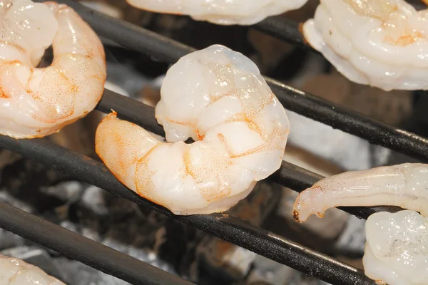 Shrimp — Stock Photo, Image