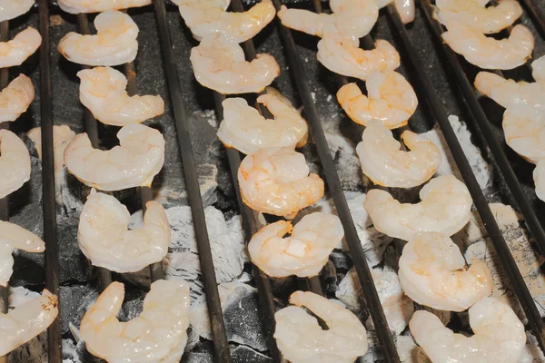 Shrimp — Stock Photo, Image