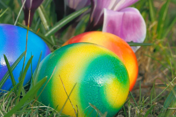 Huevos de Pascua —  Fotos de Stock