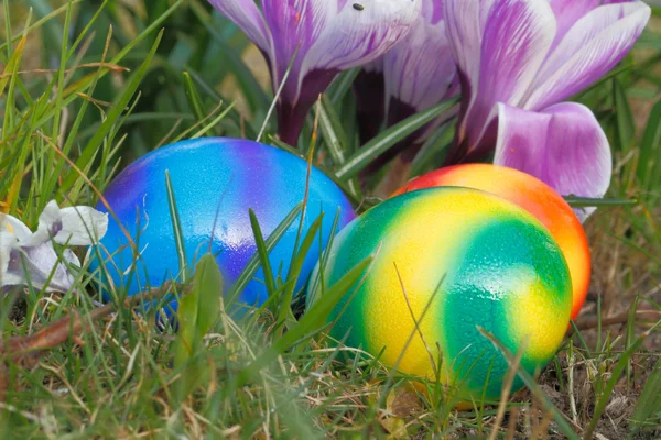 Easter eggs — Stock Photo, Image