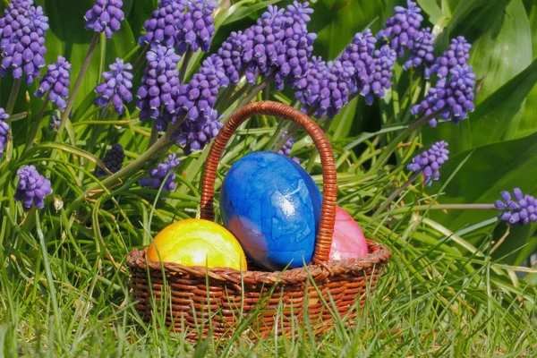 Easter eggs — Stock Photo, Image