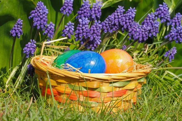 Easter eggs — Stock Photo, Image