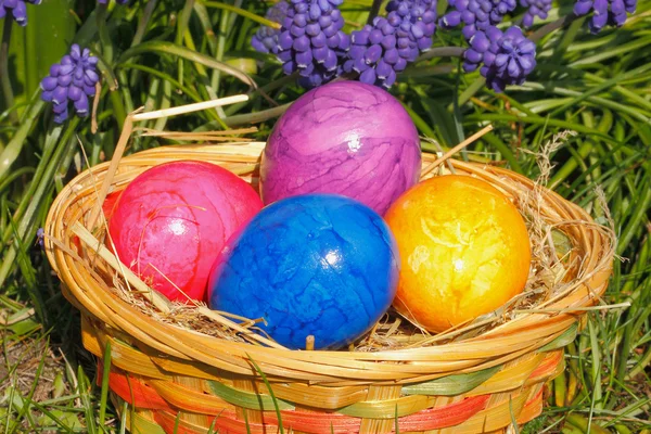 Paskalya yumurtaları