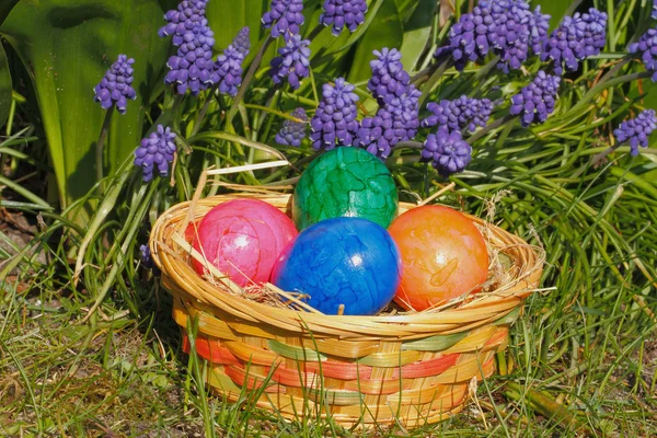 Uova di Pasqua — Foto Stock