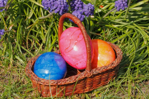 Easter eggs — Stock Photo, Image