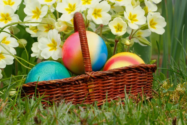 Easter eggs — Stock Photo, Image