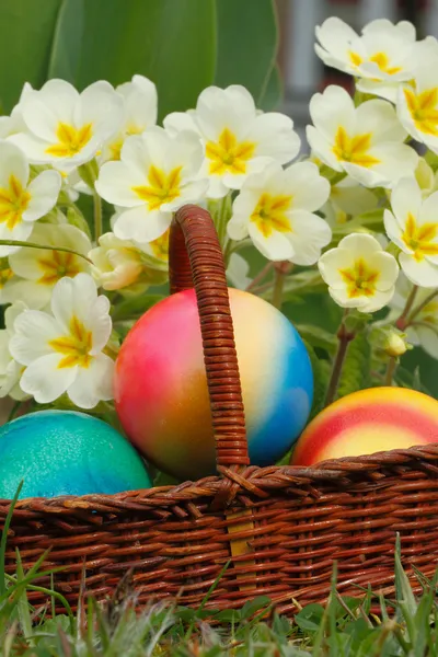 Easter eggs — Stock Photo, Image