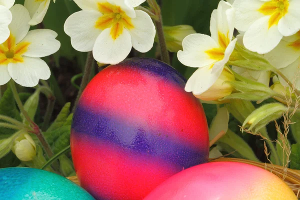 Easter eggs — Stock Photo, Image