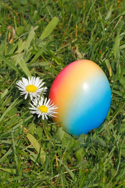 Easter egg — Stock Photo, Image