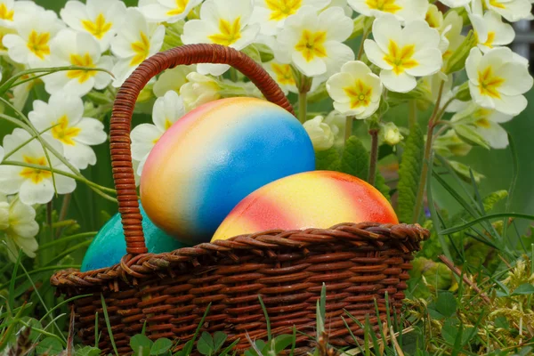 Huevos de Pascua Imagen de stock