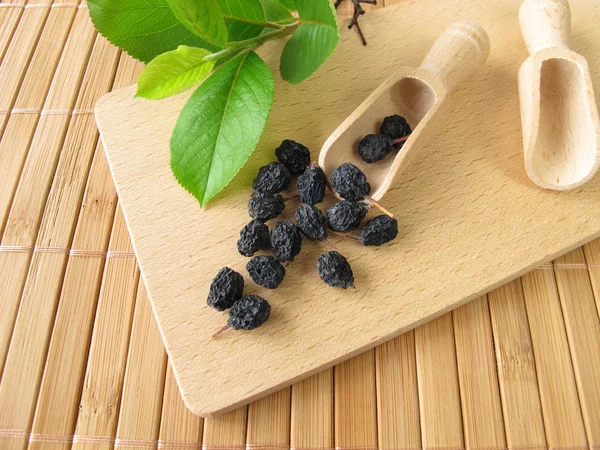 Bacche di aronia essiccate — Foto Stock