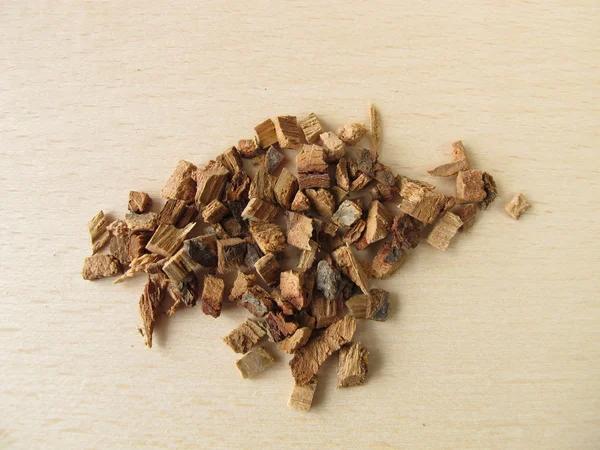 Oak bark, Quercus cortex — Stock Photo, Image