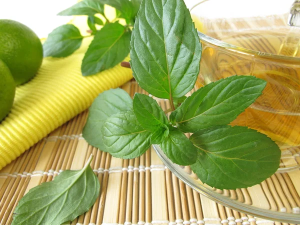 Tè con menta al limone — Foto Stock