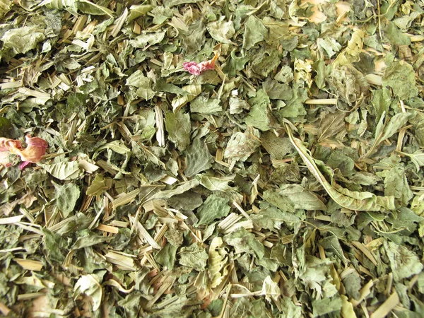 Фон з вільним трав'яним чаєм — стокове фото