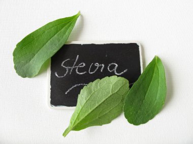 Stevia yaprakları ve isim plakası