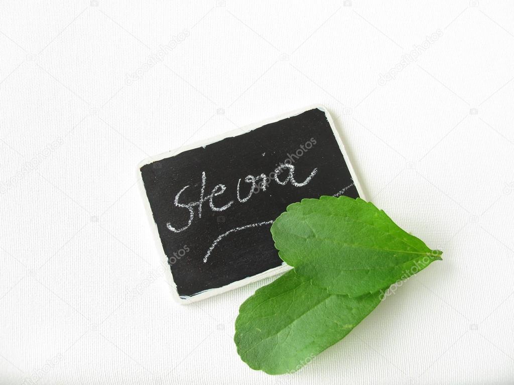 Stevia leaves and nameplate