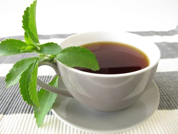 Šálek černé kávy a stevia — Stock fotografie