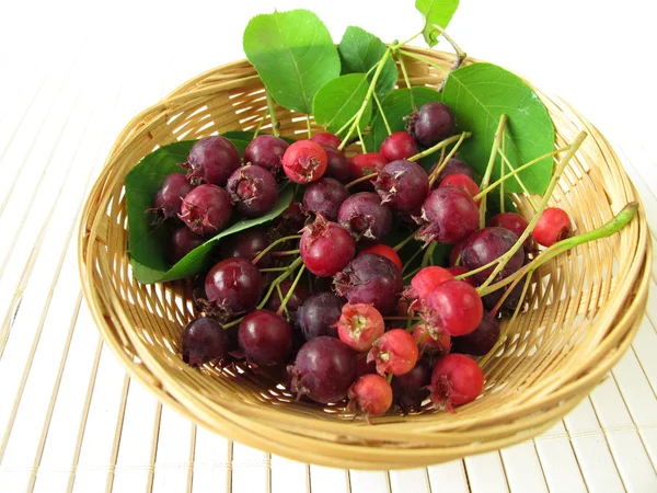 Juneberries 在篮子里 — 图库照片