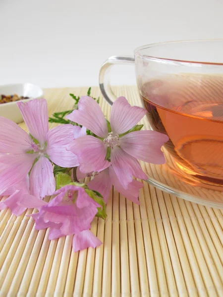 Tea with mallow flowers — Stock Photo, Image