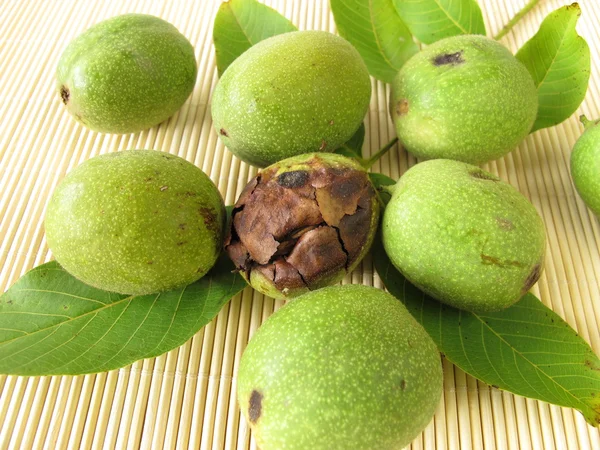 Green walnuts — Stock Photo, Image