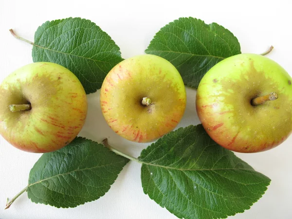 Apples — Stock Photo, Image