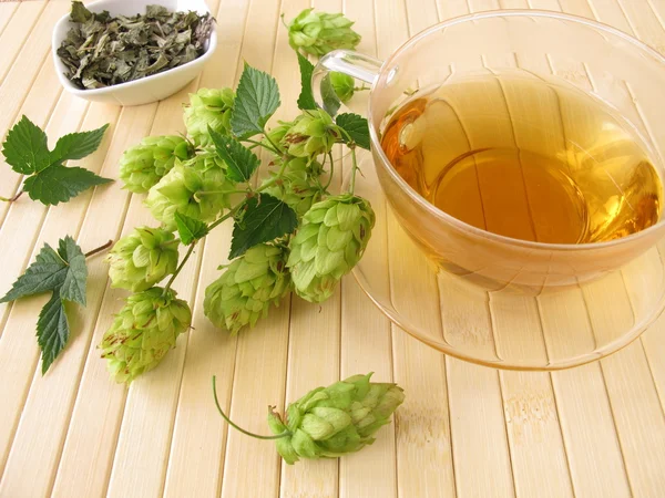 Tea with hops — Stock Photo, Image