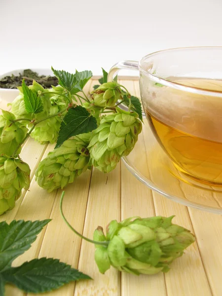 Tea with hops — Stock Photo, Image