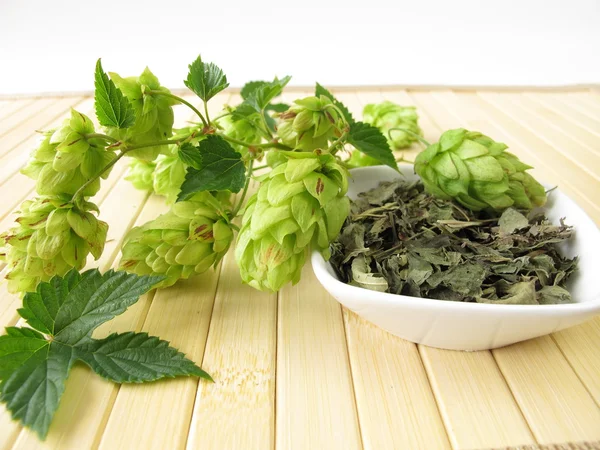 Loose tea with hops — Stock Photo, Image