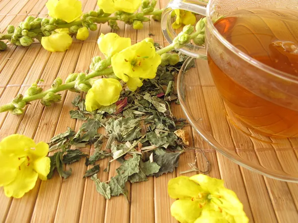 Tea with mullein flowers — Stock Photo, Image