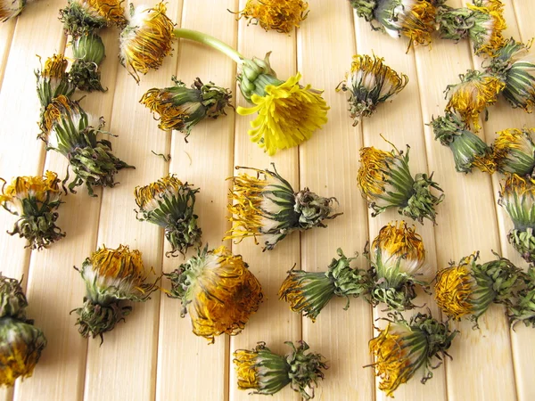 Dried dandelion flowers — Stock Photo, Image