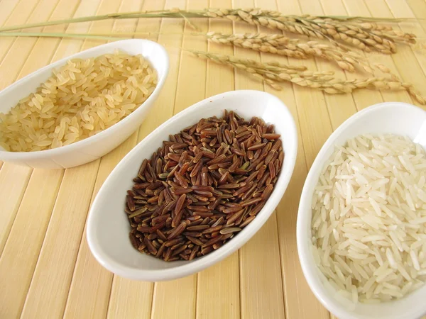 Variedades de panículas de arroz e arroz — Fotografia de Stock