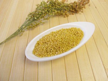 darı tahıllar ve salkım darı