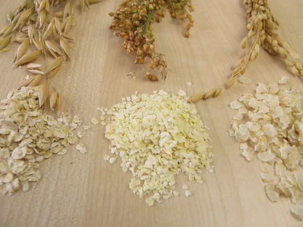 귀리, 쌀 그리고 기장을 압 연을 압 연 — 스톡 사진