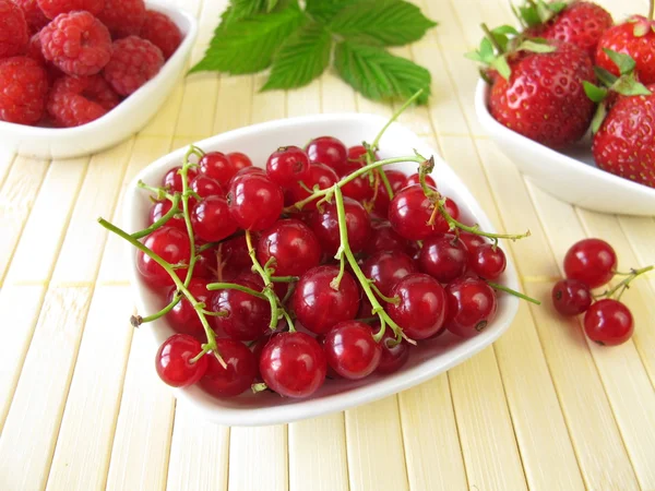 Red summer berries — Stock Photo, Image