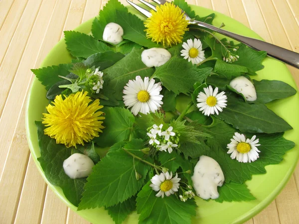 Salat mit Wildkräutern — Stockfoto