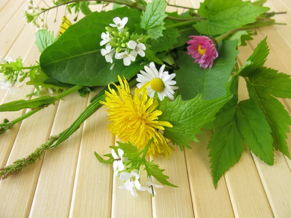 荠菜图库照片 免版税荠菜图片 Depositphotos 荠菜图库照片 免版税荠菜图片 Depositphotos