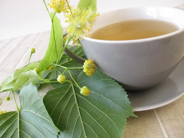 Linden flowers tea — Stock Photo, Image